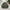 Vintage Bomber jacket Pria green photo 3