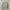 Japanese brand Streetwear Casual Puffer jacket Pria green photo 2