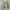 Japanese brand Streetwear Casual Puffer jacket Pria green photo 1