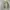 Japanese Brand Streetwear Casual Puffer Jacket Pria Green