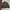 Uniqlo Casual Bomber jacket Pria burgundy photo 5