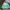 GAP Casual Bomber jacket Pria multicolor photo 6