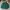 Casual Harrington jacket Pria green black photo 2