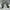 Converse Vintage Skater Sneakers Pria black photo 1
