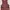 H&M Sportswear Crop Top Wanita Pink