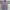 Japanese Brand Vintage Casual Shirt Pria Multicolor