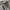 Levi's Streetwear Jeans Pria gray photo 6