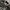 Avirex Vintage Leather jacket Pria black photo 5