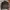 Bally Luxury Leather jacket Pria black photo 1