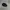 Kangol Y2K Casual Hat Pria black photo 5