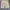 Under Armour Sportswear Casual Short Pria tan photo 5
