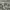 Sportswear Casual Short Pria multicolor photo 2