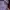 Mahagrid Vintage Streetwear Hoody Pria purple photo 1