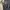 Fashion Nova Minimalist Sweatshirt Wanita cream photo 1