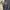 Fashion Nova Minimalist Sweatshirt Wanita Cream
