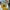 Streetwear Grunge Bomber jacket Pria yellow photo 3