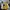 Streetwear Grunge Bomber Jacket Pria Yellow