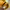Streetwear Grunge Bomber jacket Pria yellow photo 6