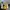 Streetwear Grunge Bomber jacket Pria yellow photo 1