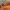 Hermes Luxury Minimalist Shoulder bag Wanita orange photo 7