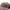 The North Face Streetwear Sportswear Hat Pria burgundy photo 5
