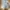Uniqlo Casual Short Kids multicolor photo 1