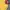 Beverly Hills Polo Club Gorpcore Casual Windbreaker Pria yellow photo 2