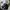 Grunge Indie Trench coat Pria black photo 1