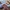 L.L.Bean Grunge Indie Casual shirt Pria multicolor photo 4