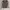 Casual Bomber jacket Pria green cream photo 1