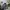 Kolon Sport Grunge Indie Bomber jacket Pria white black photo 1