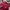 Grunge Indie Bomber jacket Pria red photo 3