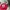 Grunge Indie Bomber jacket Pria red photo 6