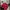 Grunge Indie Bomber jacket Pria red photo 1