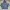 Uniqlo Minimalist Casual Hoody Pria blue photo 1