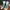 Converse Skater Sportswear Sneakers Pria multicolor photo 2