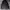 Uniqlo Luxury Gorpcore Track jacket Pria black photo 2