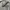 Jil Sander Luxury Casual Hoody Pria gray photo 6