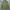 Vintage Streetwear Parka Pria green gray photo 1