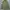 Vintage Streetwear Parka Pria Green Gray