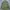 Vintage Streetwear Parka Pria green gray photo 6