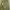 Vintage Streetwear Parka Pria green gray photo 4
