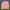 Umbro Vintage Casual Sweatshirt Pria Multicolor