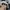 Carhartt Vintage Hat Pria cream photo 6