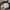 Carhartt Vintage Hat Pria cream photo 7
