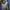 Undefeated Streetwear Puffer jacket Pria purple photo 6