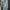 Adidas Sportswear Sweater Pria gray photo 2