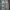 Adidas Sportswear Sweater Pria gray photo 1