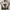 Adidas Streetwear Windbreaker Pria gray photo 1
