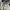 Adidas Streetwear Windbreaker Pria gray photo 2